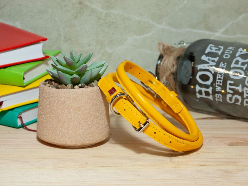 May include: A bright yellow pet collar featuring a smooth, padded design with silver-toned metal hardware, including a buckle and a D-ring for lead attachment, along with a small red rectangular brand tag attached to the strap.