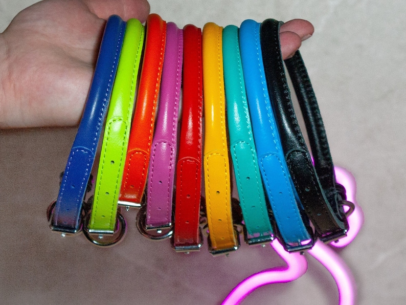 May include: A collection of eight slim, rounded pet collars in a vibrant spectrum of colours including blue, lime green, orange, magenta, red, yellow, teal, and black. Each collar features a silver-toned metal buckle and a matching D-ring attachment.