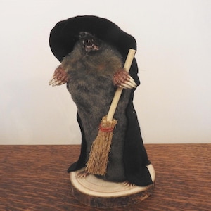 Taxidermy Matilda The Witch Mole