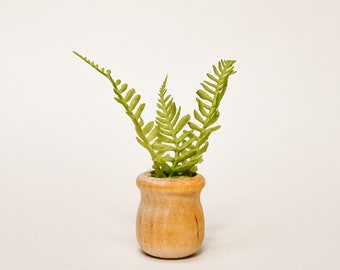 Modern Dollhouse floor Plant 1:12 Scale