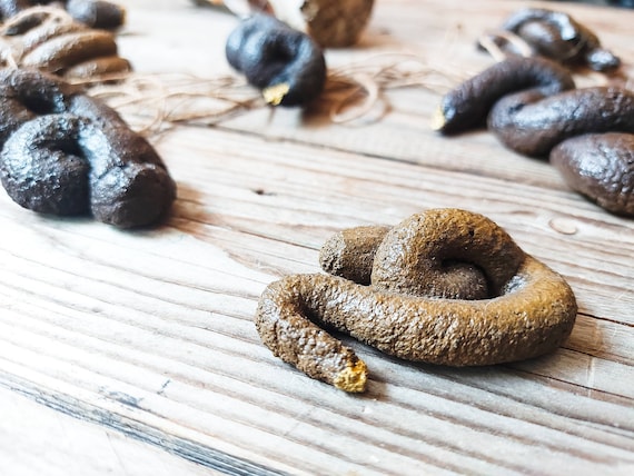 Caca de vrai caca pour bonne chance et bonne journée cadeau unique