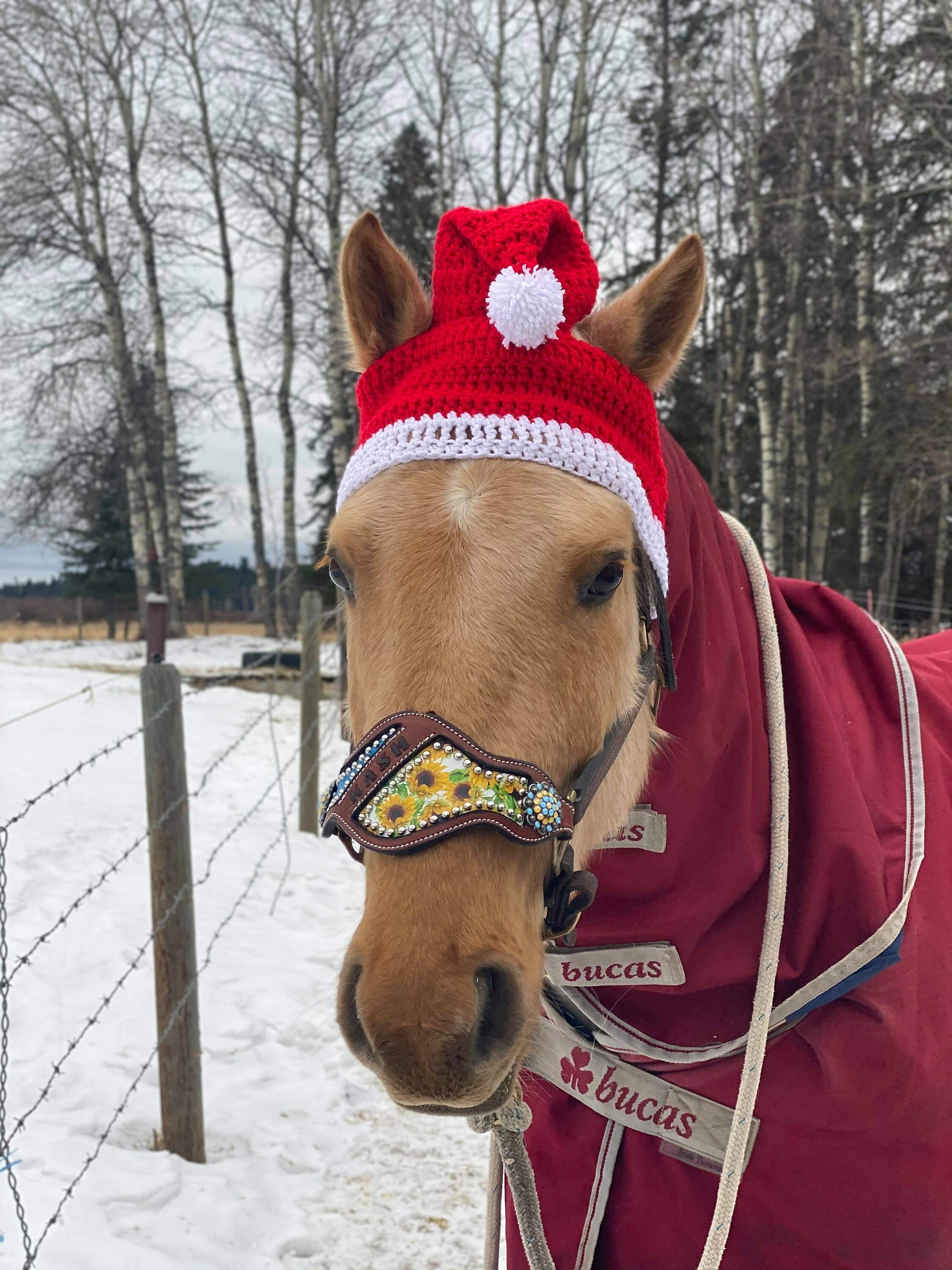 Horse Santa Style Hats | Etsy Australia