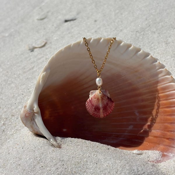 Calico Scallop Shell Necklace with Pearl – 14K Gold Plated Coastal Jewelry