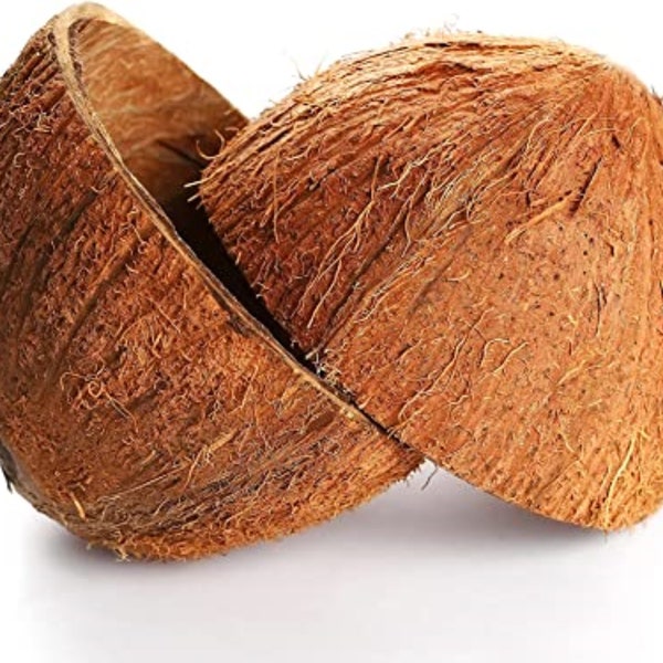 Natural Coconut Shell Halves Natural Half Shell (Case pack 2) Coconut Natural