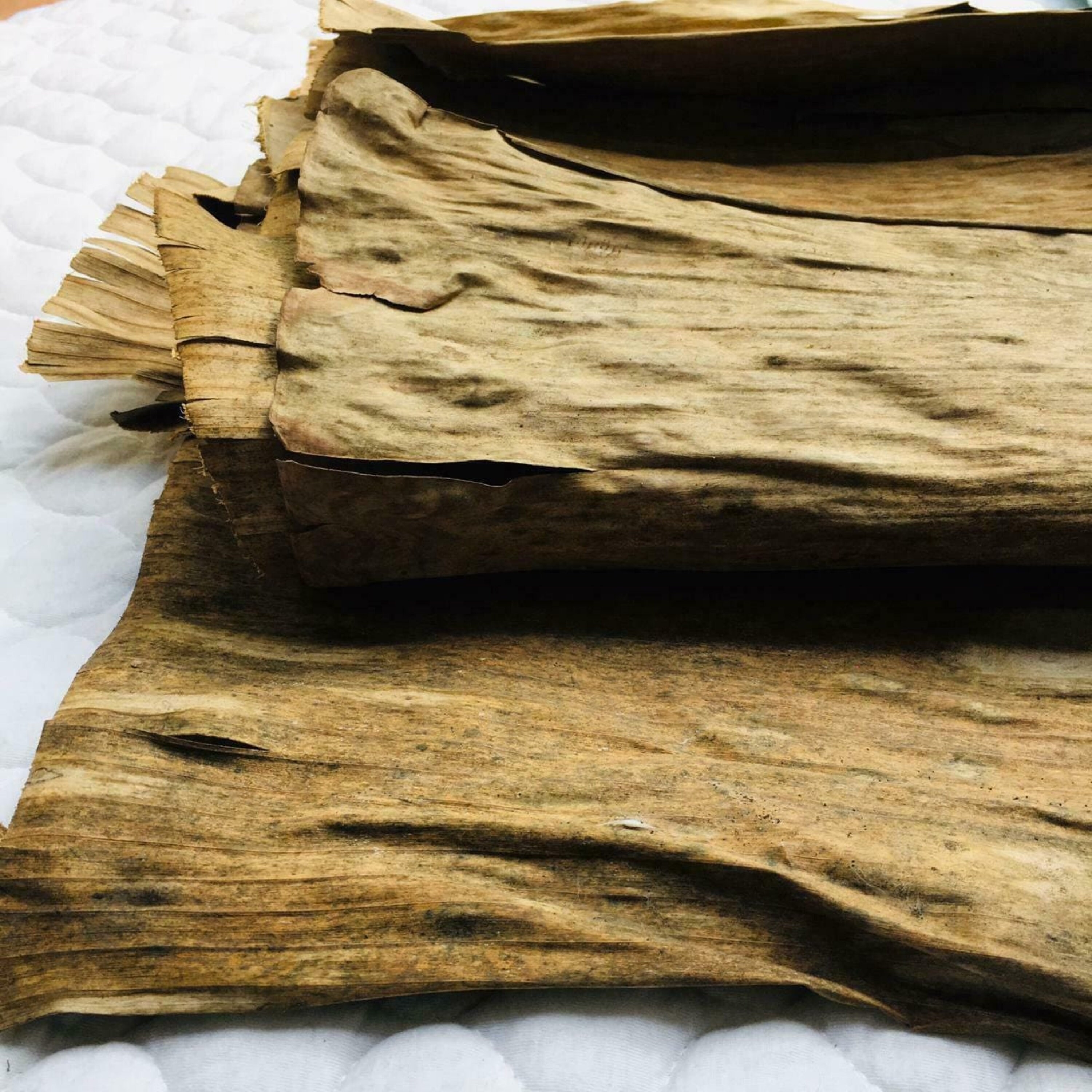 50+ Dried Banana Leaves, Pet Supplies Care Fish Aquariums, Sun Dried Banana leaf, SRI LANKAN pure organic ***premium quality ***