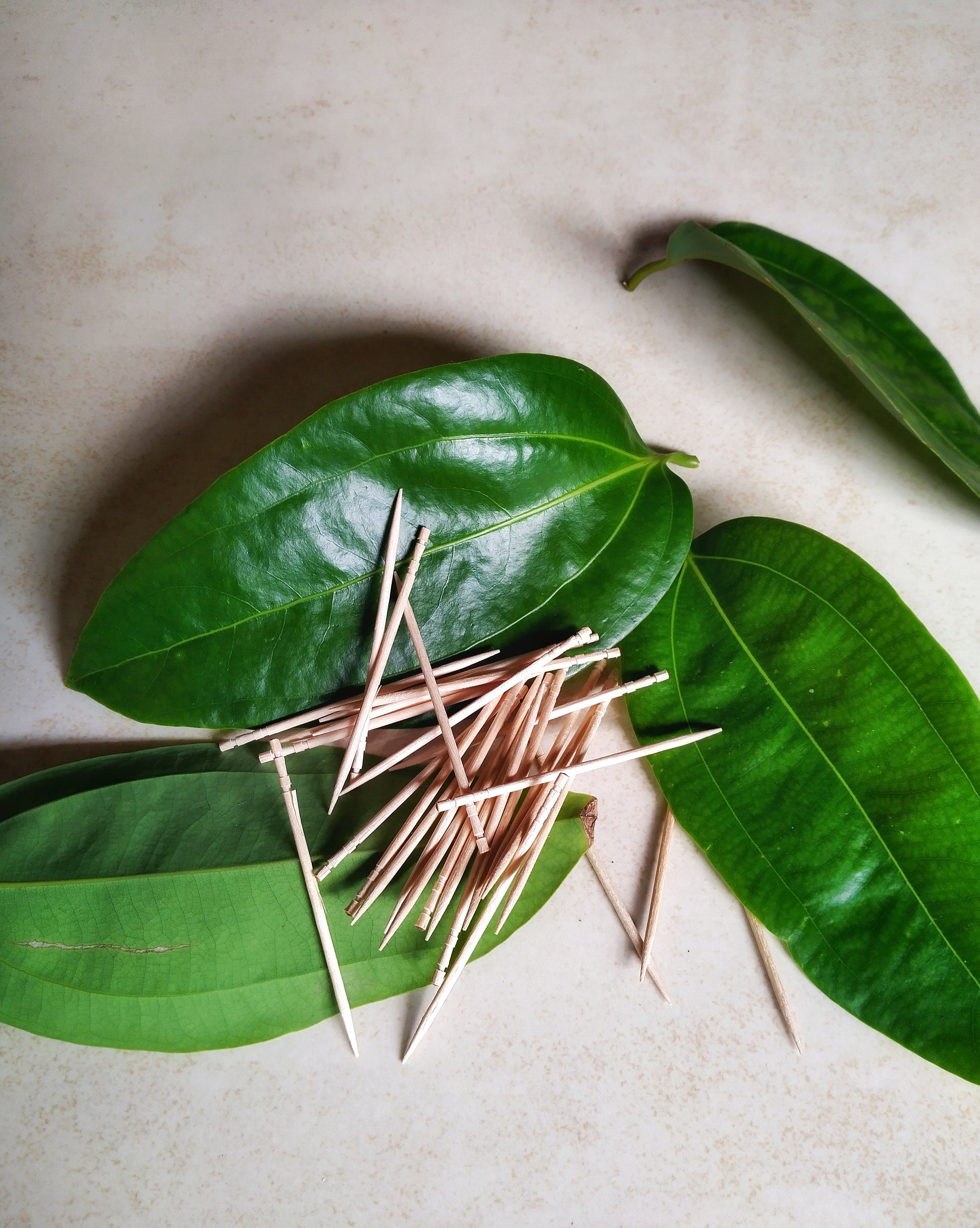 Cinnamon Toothpicks Handmade Natural Organic Toothpick 100pcs Cinnamon