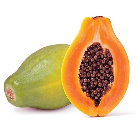 30 Papaya Seeds Rare Kind Sweet Tropical Edible Fruit Bonsai Plants in Garden 