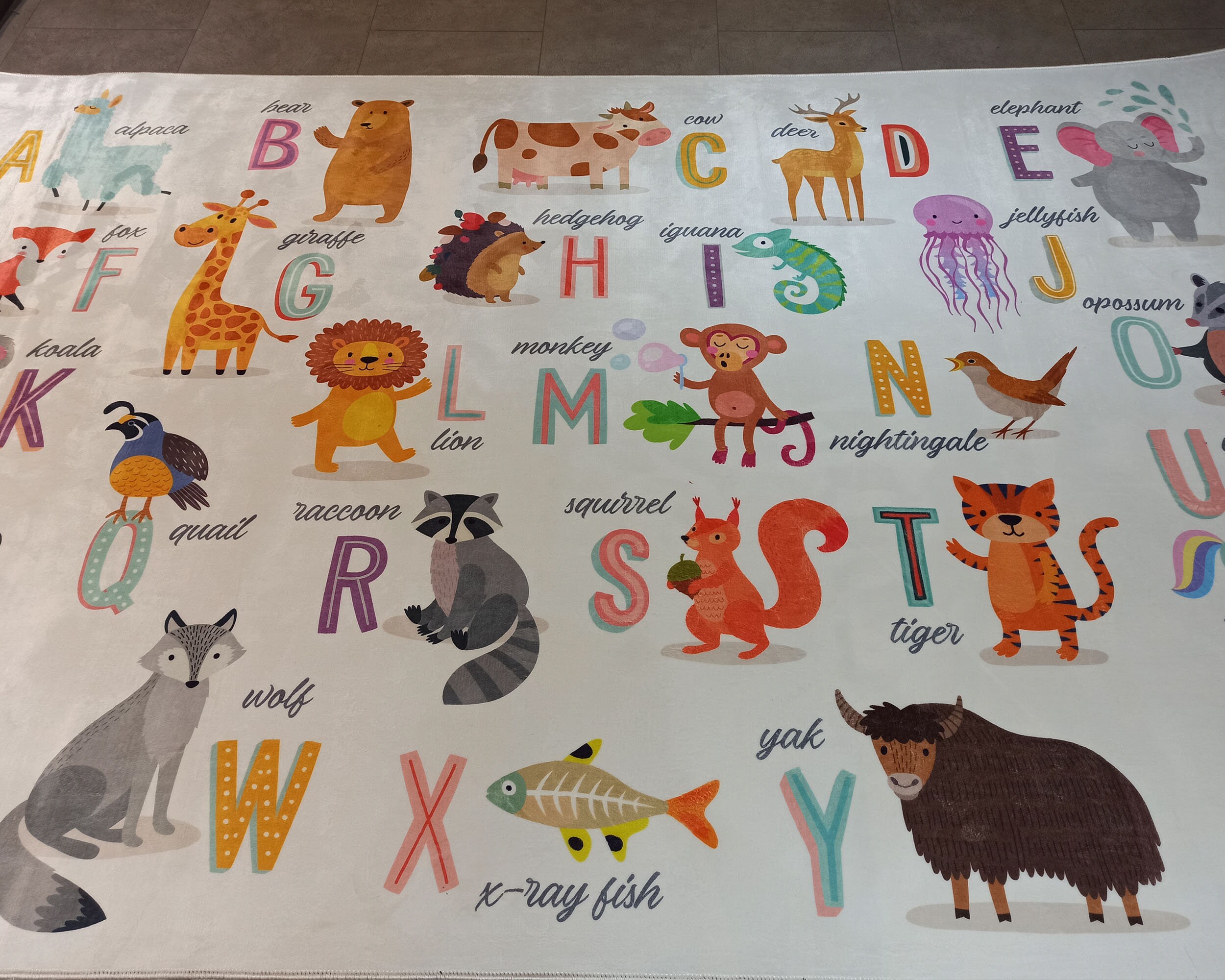 Discover Simpatici animali Alfabeto Tappeto per bambini