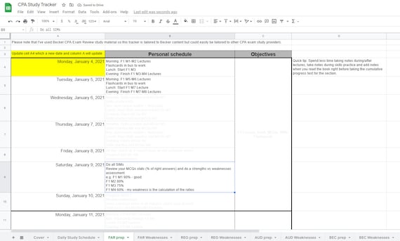 CPA Study Plan and Tracker - Etsy