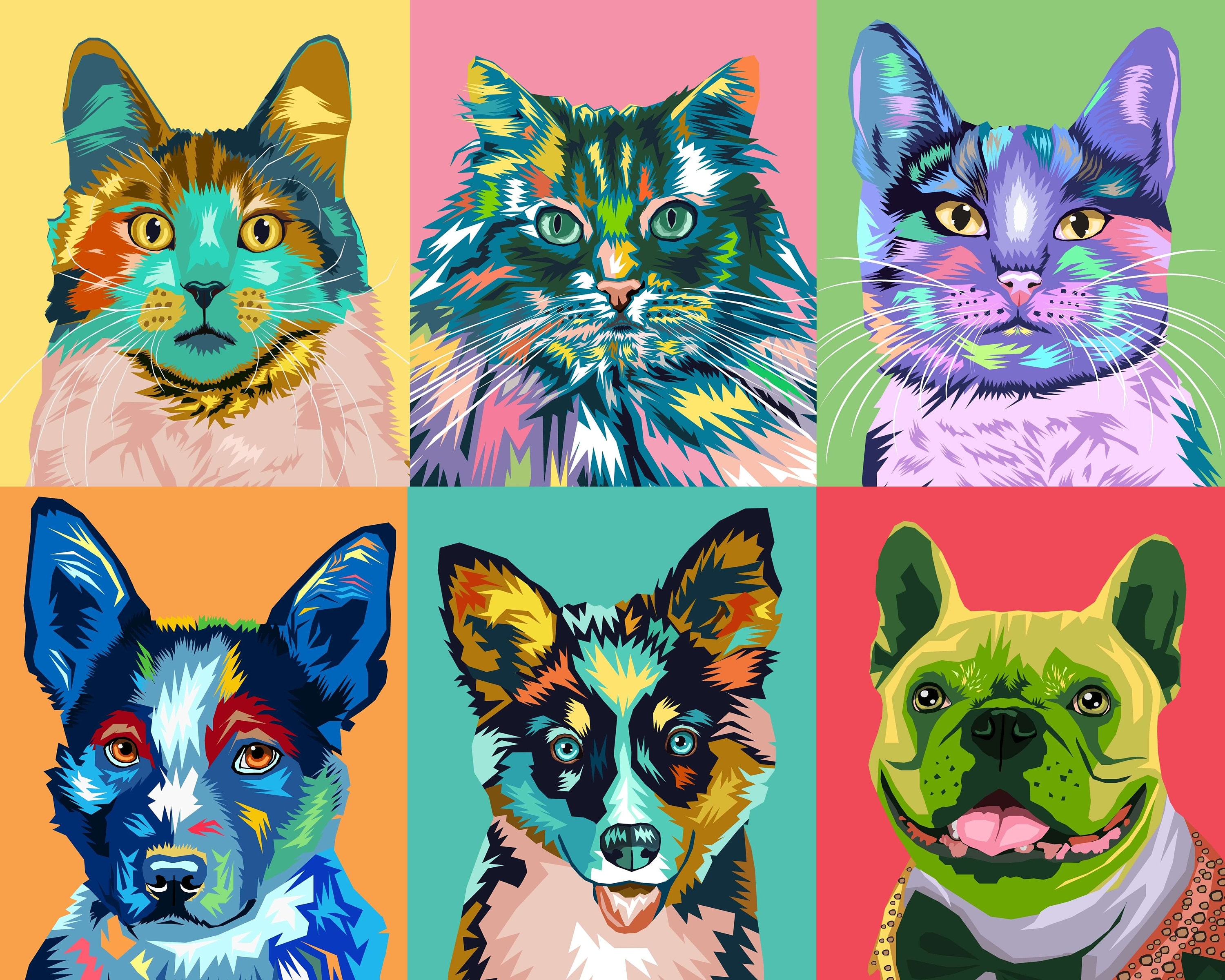 cat-protrait-pop-art-cat-portrait-cat-poster-custom-cat-portrait