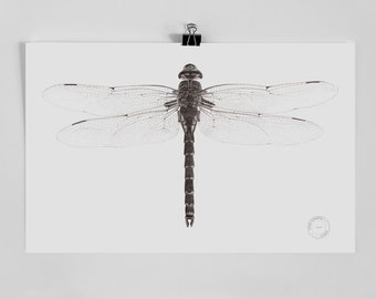 Dragonfly Print