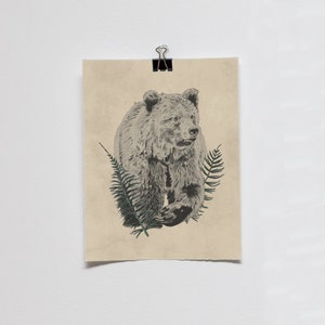 Bär 20 x 20 cm Druck von Messengers aus dem Großen Bären Orakel Karten