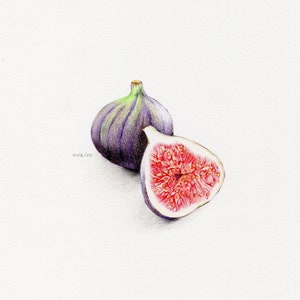 Drawing &quot;FIGS&quot; - Limited Edition Signed Giclée Fine Art Print, House Decor, Wall Decor, Wall Art