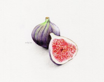 Drawing "FIGS" - Limited Edition Signed Giclée Fine Art Print, House Decor, Wall Decor, Wall Art