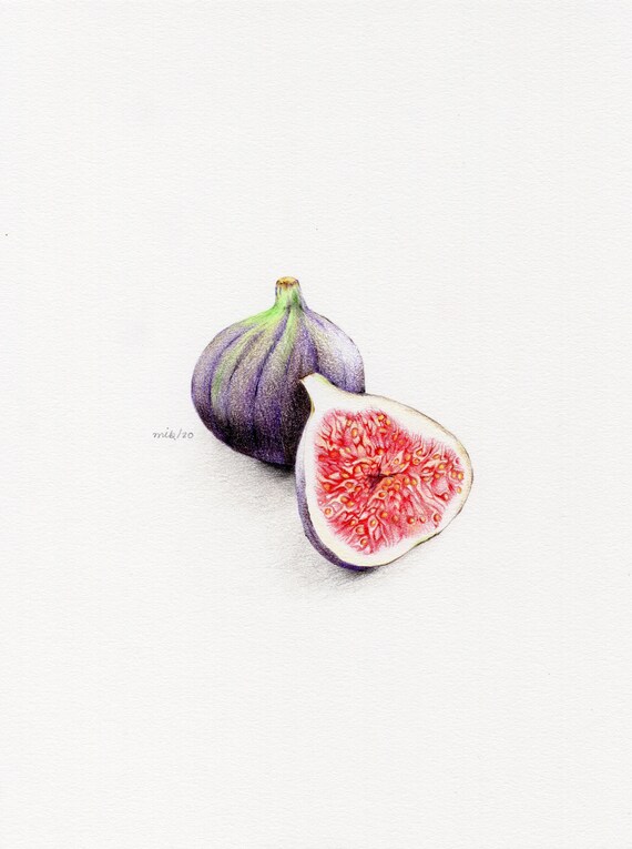 Drawing figs Limited Edition Signed Giclée Fine Art Print, House Decor,  Wall Decor, Wall Art - Etsy Denmark