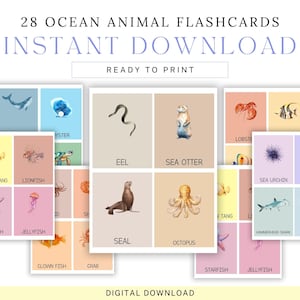Flashcards de animais do oceano, animais do fundo do mar, cartões de contagem flash, cesta matinal do oceano, livro pré-escolar ocupado pré-escolar aprendendo tartaruga baleia