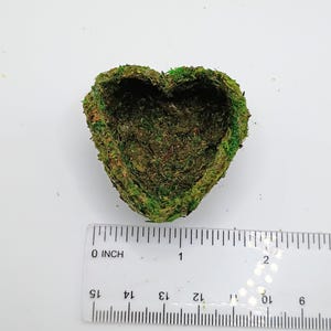 May include: A heart-shaped decorative bowl made of green moss. The bowl is approximately 2 inches wide and 2 inches long. The moss is a mix of green and brown, with a textured surface. The bowl is empty.