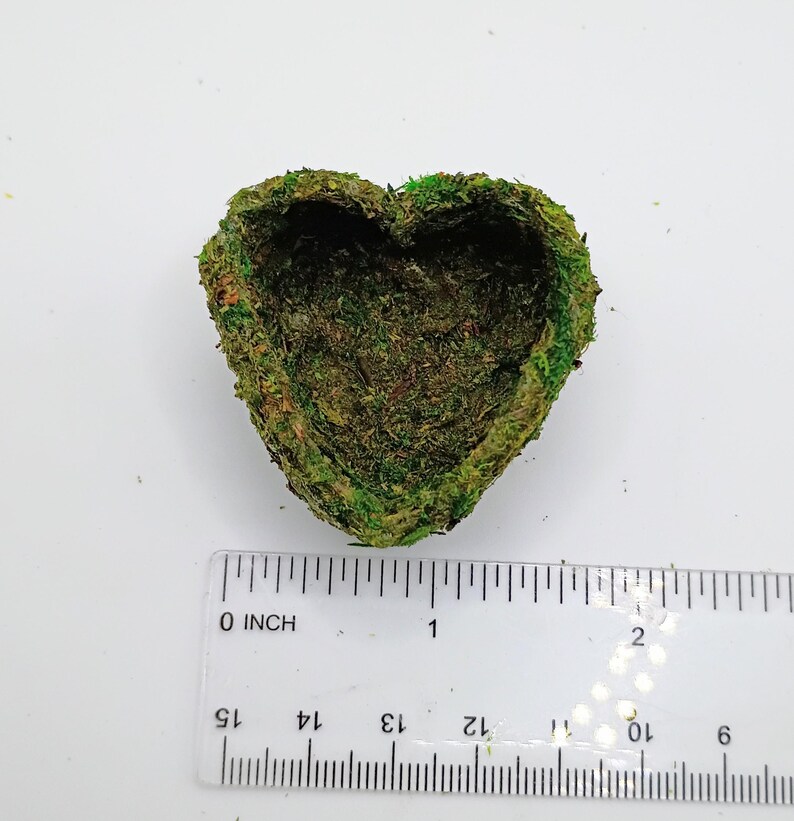 May include: A heart-shaped decorative bowl made of green moss. The bowl is approximately 2 inches wide and 2 inches long. The moss is a mix of green and brown, with a textured surface. The bowl is empty.