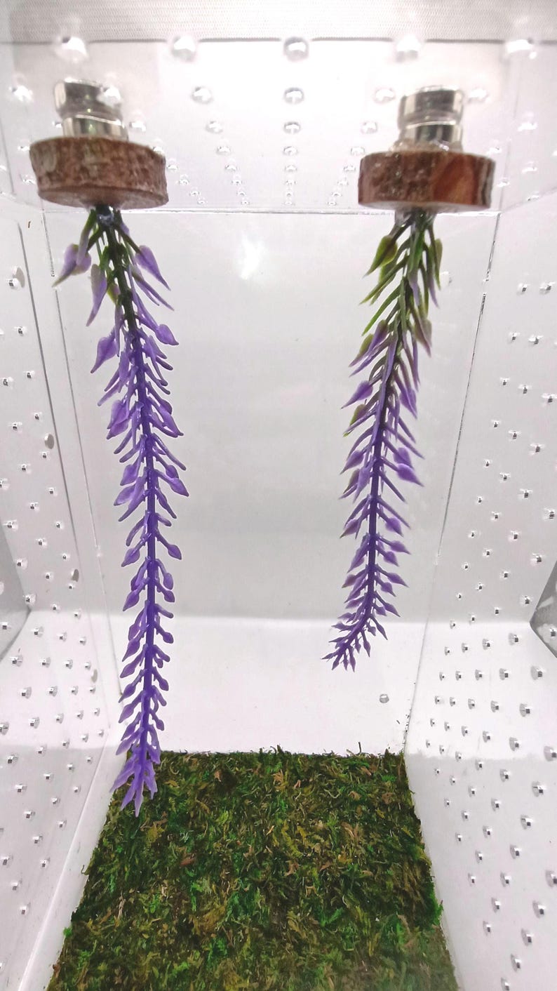 Climbing Vine Set of 2: Magnetic Spider Reptile Terrarium Enclosure Decoration Accessories image 4