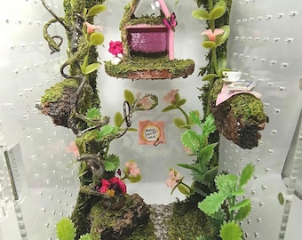 Behuizing springspin, grillige cottage: boomterrarium, vivariumhabitat