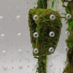 May include: Close-up of a terrarium with a moss-covered structure and small, white, circular objects. The moss is a vibrant green, and the background is a clear, textured surface with numerous bubbles. The overall theme is nature and terrarium design.