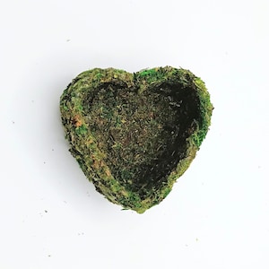 Heart Hide Hammock With Moss: Magnetic Spider Reptile Terrarium Enclosure Decoration Accessories image 1