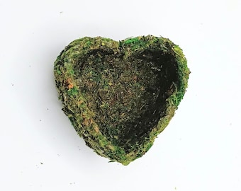 Heart Hide Hammock With Moss: Magnetic Spider Reptile Terrarium Enclosure Decoration Accessories
