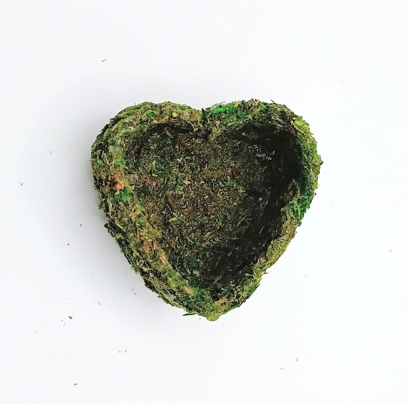 Heart Hide Hammock With Moss: Magnetic Spider Reptile Terrarium Enclosure Decoration Accessories image 1