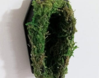Coffin Casket Hide Hammock With Moss: Jumping Spider Magnetic Terrarium Enclosure Decoration Accessories