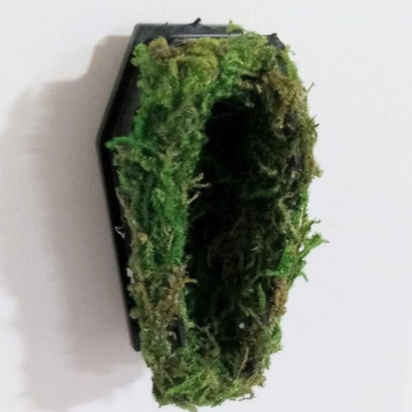Kistkist verbergen met mos: springspin magnetische terrariumbehuizing decoratie-accessoires