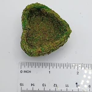 May include: A heart-shaped decorative item covered in green moss. The item is approximately 2 inches wide. A ruler is placed next to the item for scale, showing inch measurements.