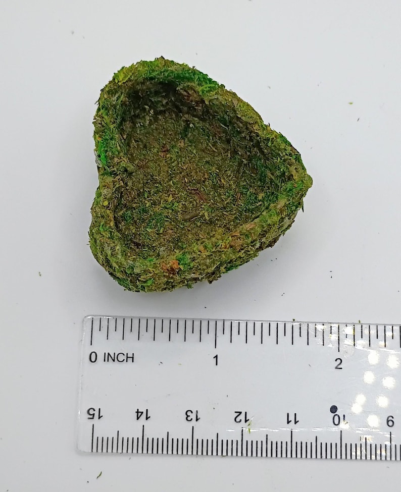 May include: A heart-shaped decorative item covered in green moss. The item is approximately 2 inches wide. A ruler is placed next to the item for scale, showing inch measurements.