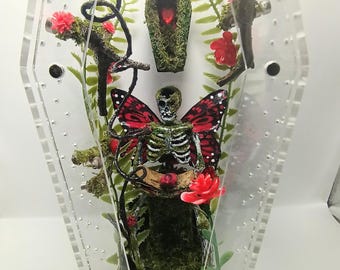 Jumping Spider Coffin Enclosure Skeleton Fairy: Arboreal Terrarium Vivarium Habitat