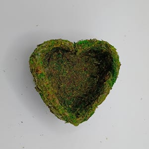 May include: A heart-shaped decorative bowl covered in green moss. The moss is a mix of light and dark green, giving it a natural appearance. The bowl's interior is also filled with moss, creating a textured surface.