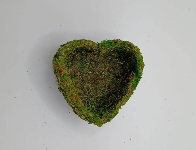 May include: A heart-shaped decorative bowl covered in green moss. The moss is a mix of light and dark green, giving it a natural appearance. The bowl's interior is also filled with moss, creating a textured surface.