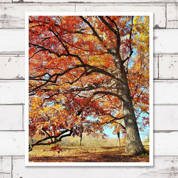 Printable Photography Digital Download Photography Travel - Etsy