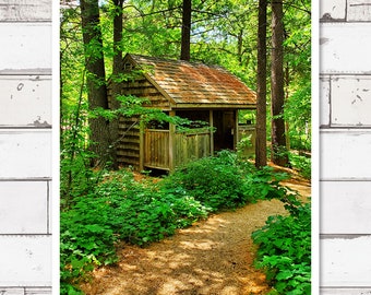 Fotografía imprimible, fotografía de descarga digital, impresiones de viajes, decoración de paredes, fotografía de viajes, cabaña, en el bosque, minnesota, norte