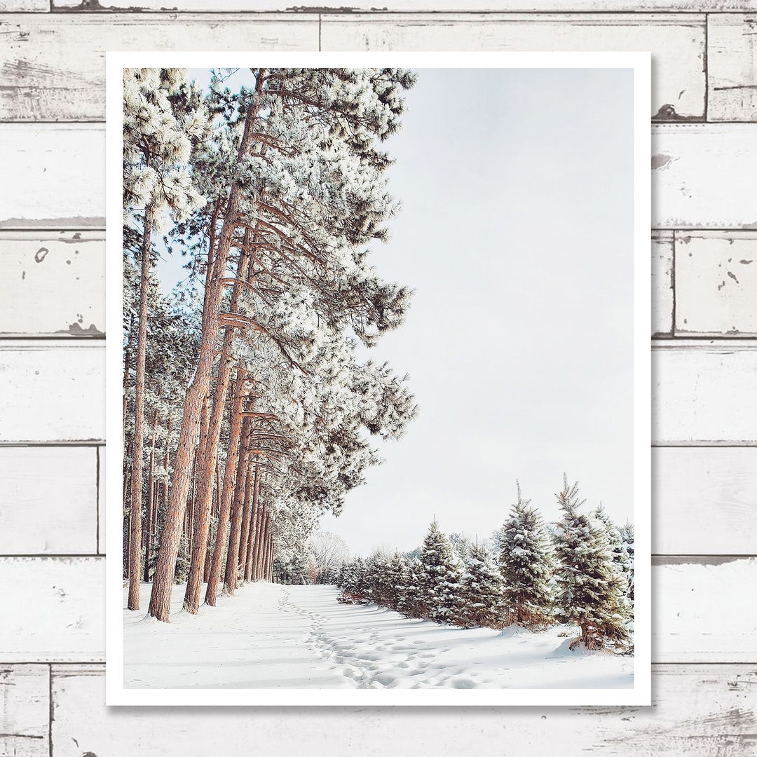 Printable Photography, Digital Download Photography, Travel Prints ...