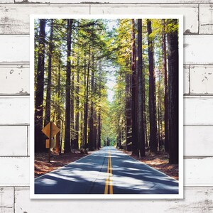Printable photography, digital download photography, travel prints, wall decor, travel photography, california, redwood forest print