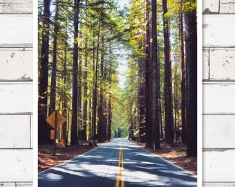Printable photography, digital download photography, travel prints, wall decor, travel photography, california, redwood forest print