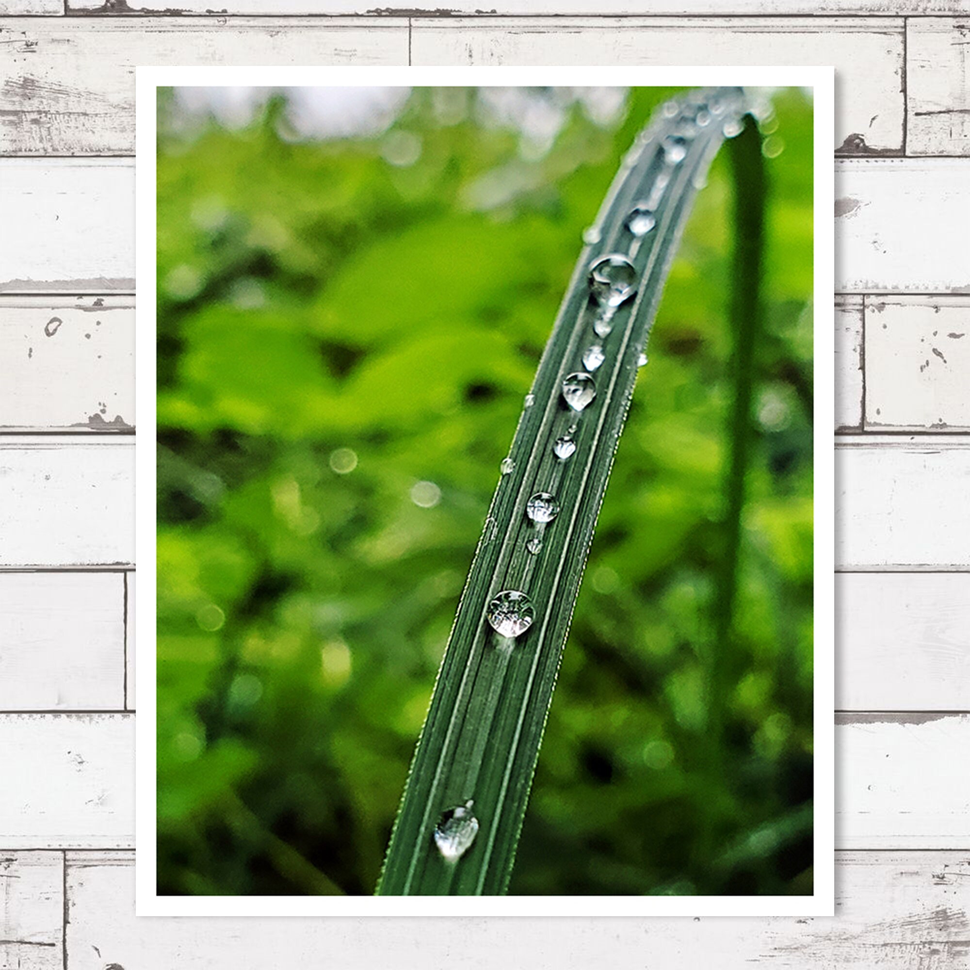 Printable Photography, Digital Download Photography, Travel Prints ...