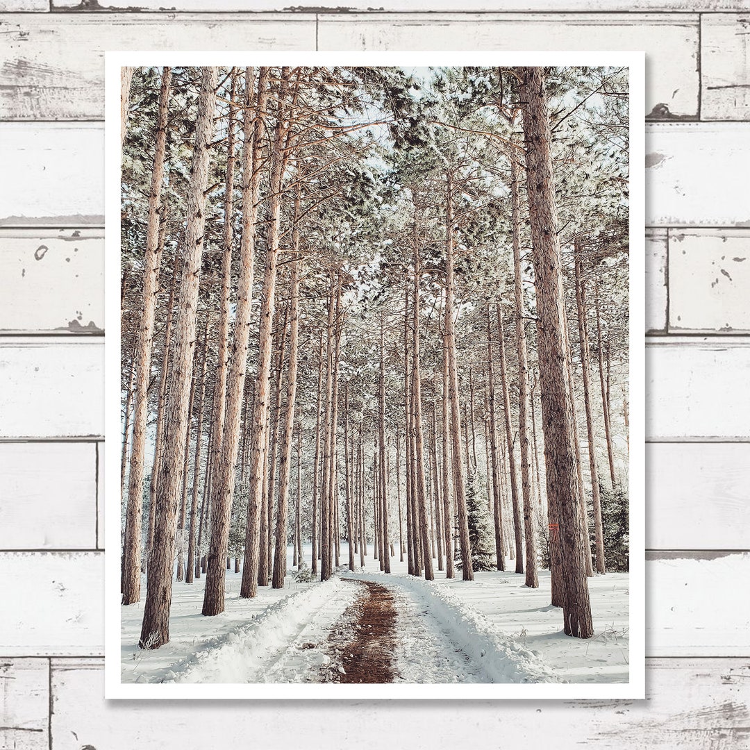 Printable Photography, Digital Download Photography, Travel Prints ...