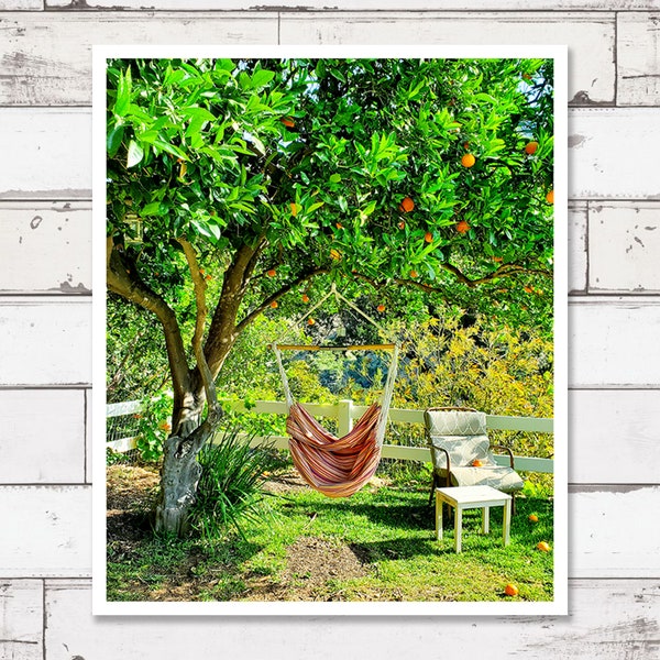 Printable photography, digital download photography, travel prints, wall decor, travel photography, orange tree, hammock, california, ojai