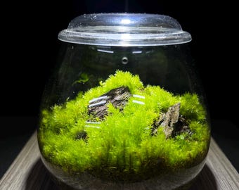 Bioloark Bio Bottle ZD200 - Etsy