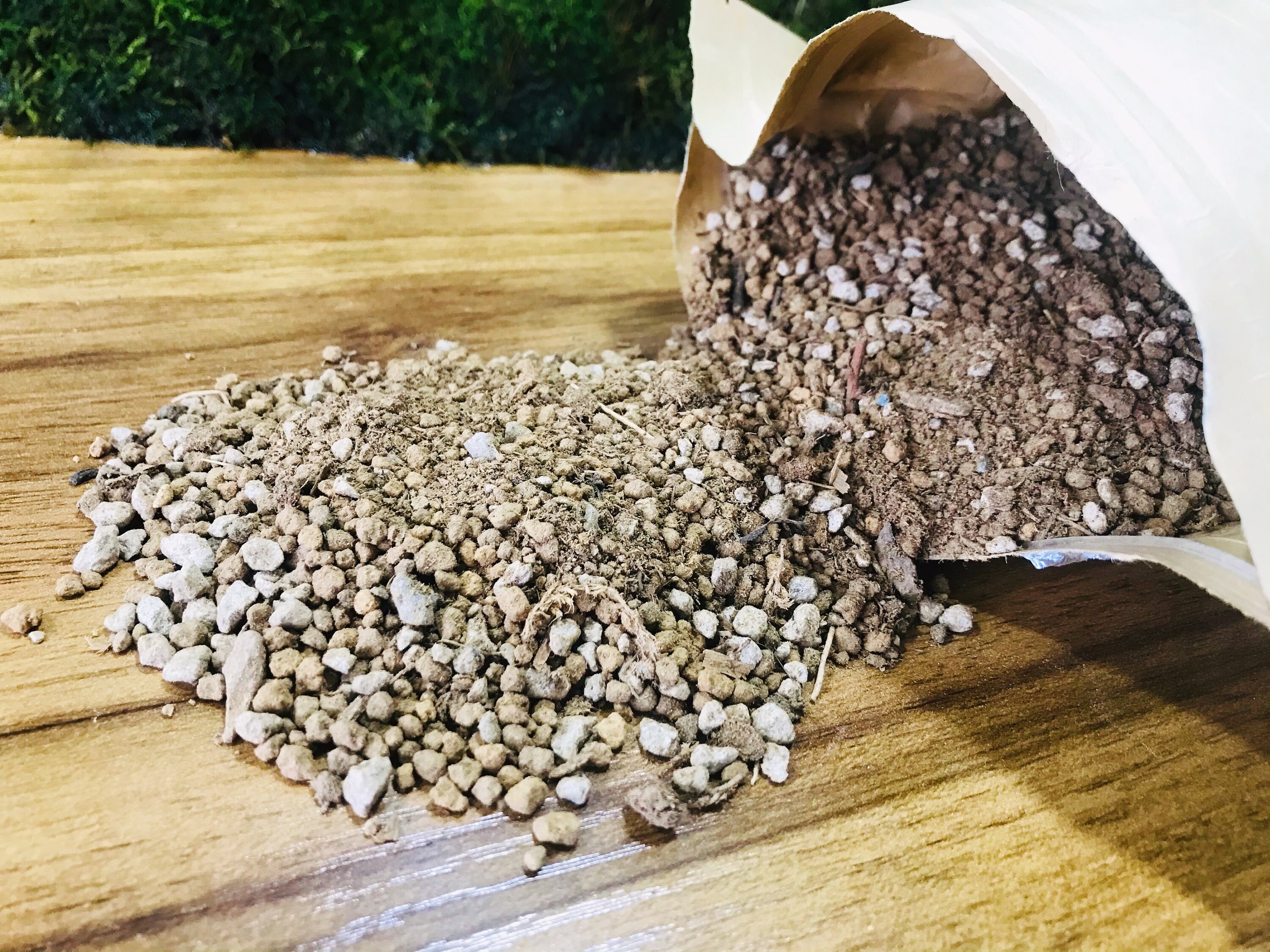 Premium Moss Growing Soil Mix terrarium Soil Mix house Etsy