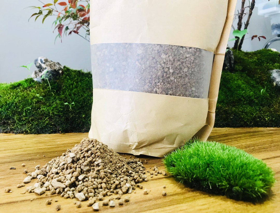 Premium Moss Growing Soil Mix terrarium Soil Mix house Plant Soil Mix 2.2 Lb Etsy