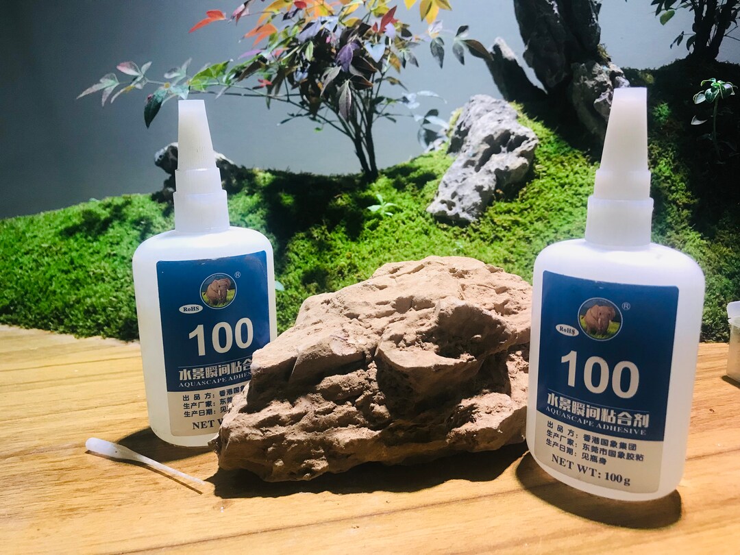 Terrarium Adhesive Instant Rock Glue Aquascape Adhesive Etsy
