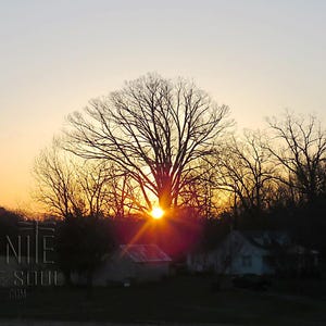 May include: A sunset view featuring a large, leafless tree silhouetted against a bright orange and yellow sky. Below the tree, a small house and a shed are visible. The text IGNITE THE SOUL COM is printed in the lower left corner of the image.