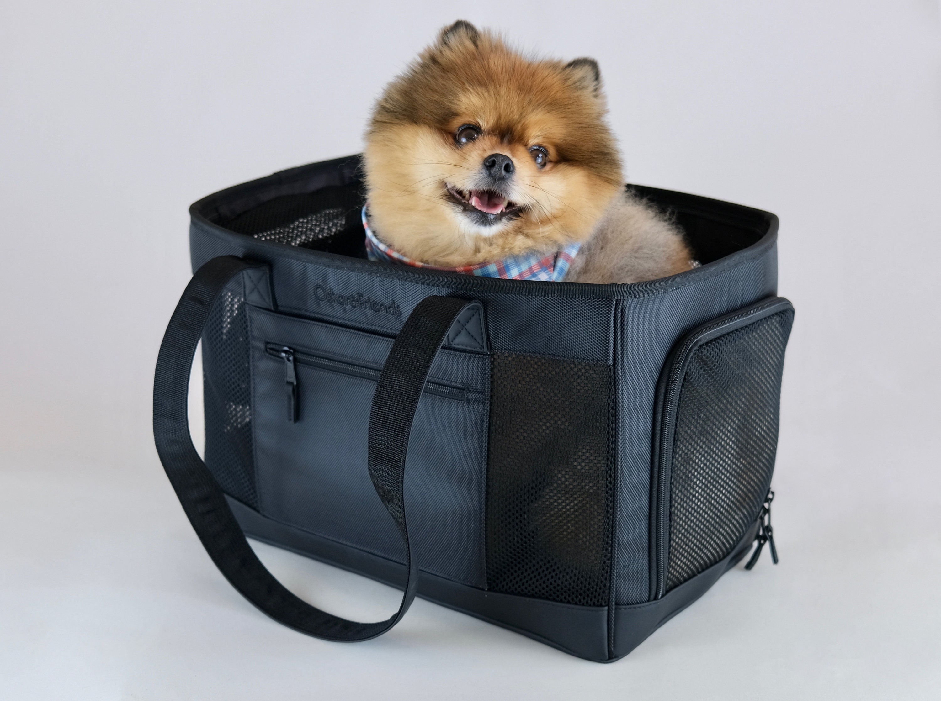 Airline Approved Pomeranian Dog Carrier Cat Crate The 10 Best