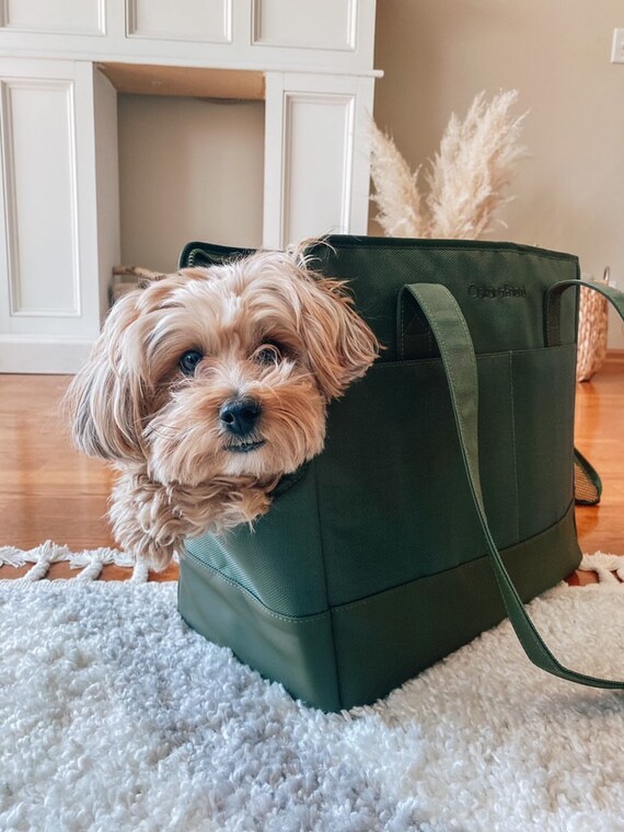 purse puppy